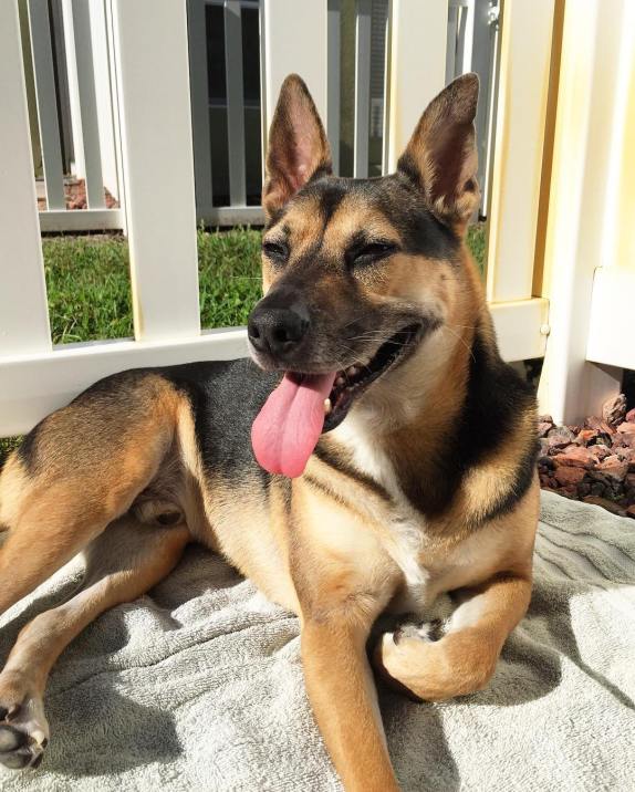 Rosco tanning April 2016